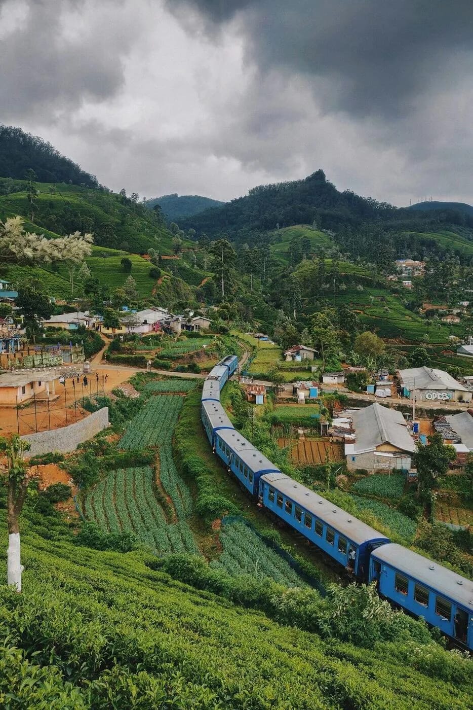 Blue Sri Lanka Railways train winding through green tea plantation hills in the central highlands