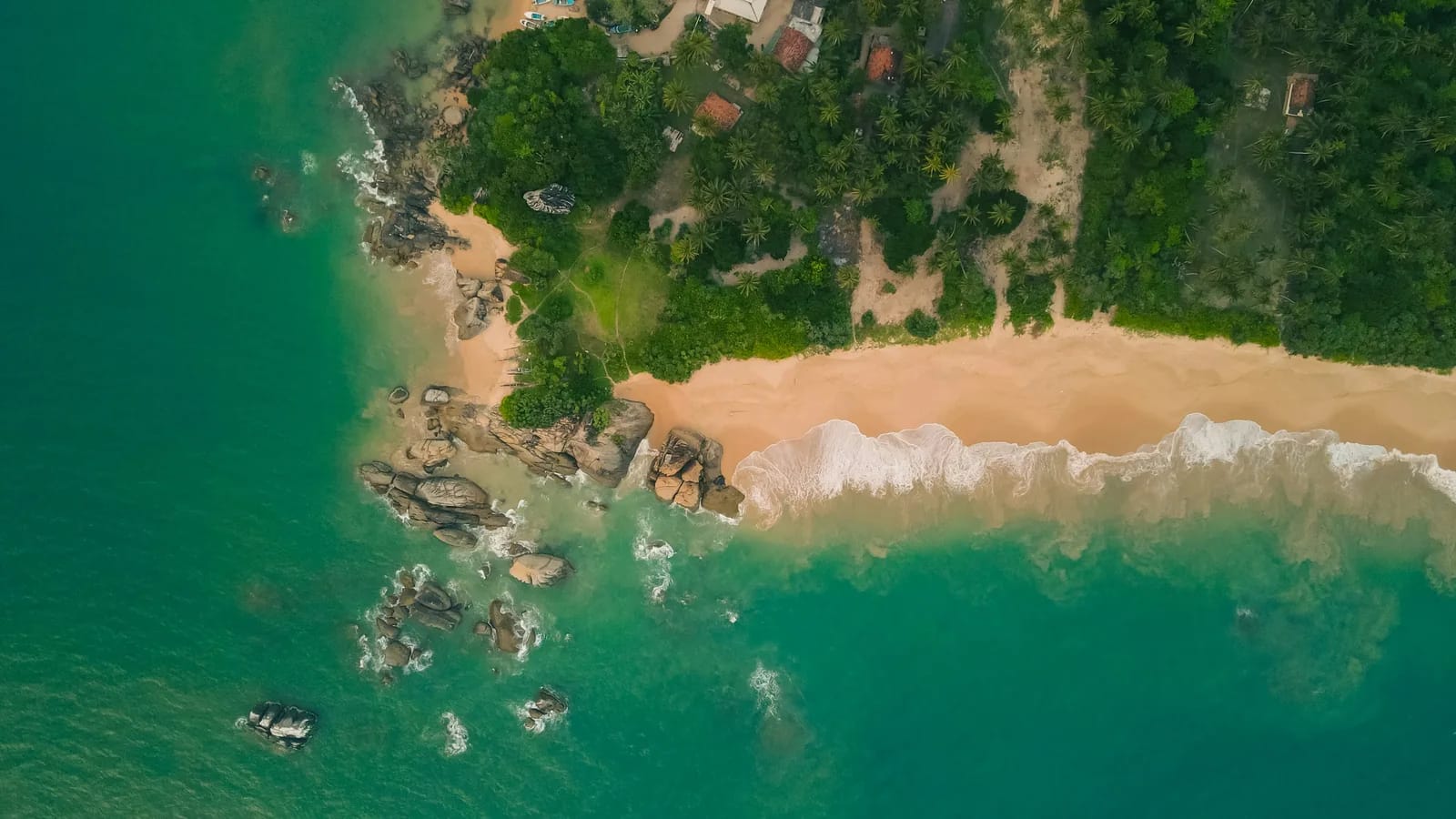 Turquoise water and palm-lined beach on the southern coast of Sri Lanka under a golden sky