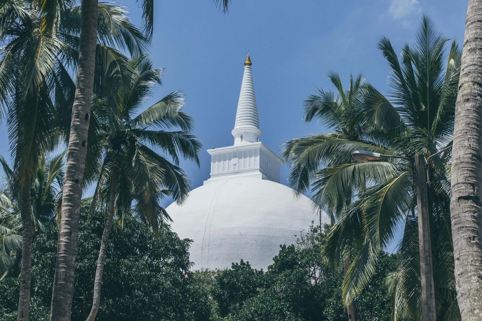White Buddhist stupa rising above a canopy of tropical palm trees against a clear blue sky in Sri Lanka