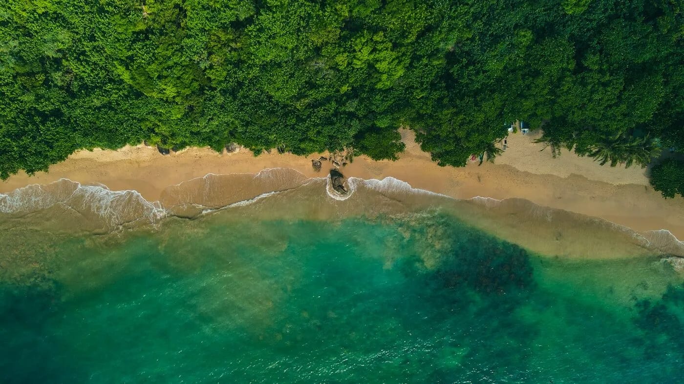 Aerial view of Sri Lanka's tropical south coast with turquoise Indian Ocean waters and coconut palm beaches - named among Travel + Leisure's 50 Best Places to Visit in 2026