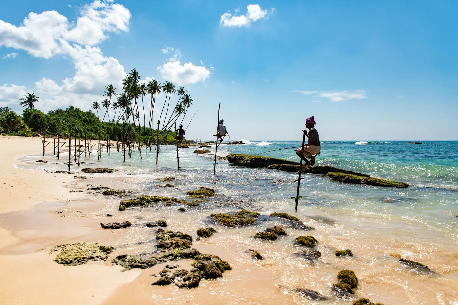 Traditional stilt fishermen on the southern coast of Sri Lanka near Galle at golden hour