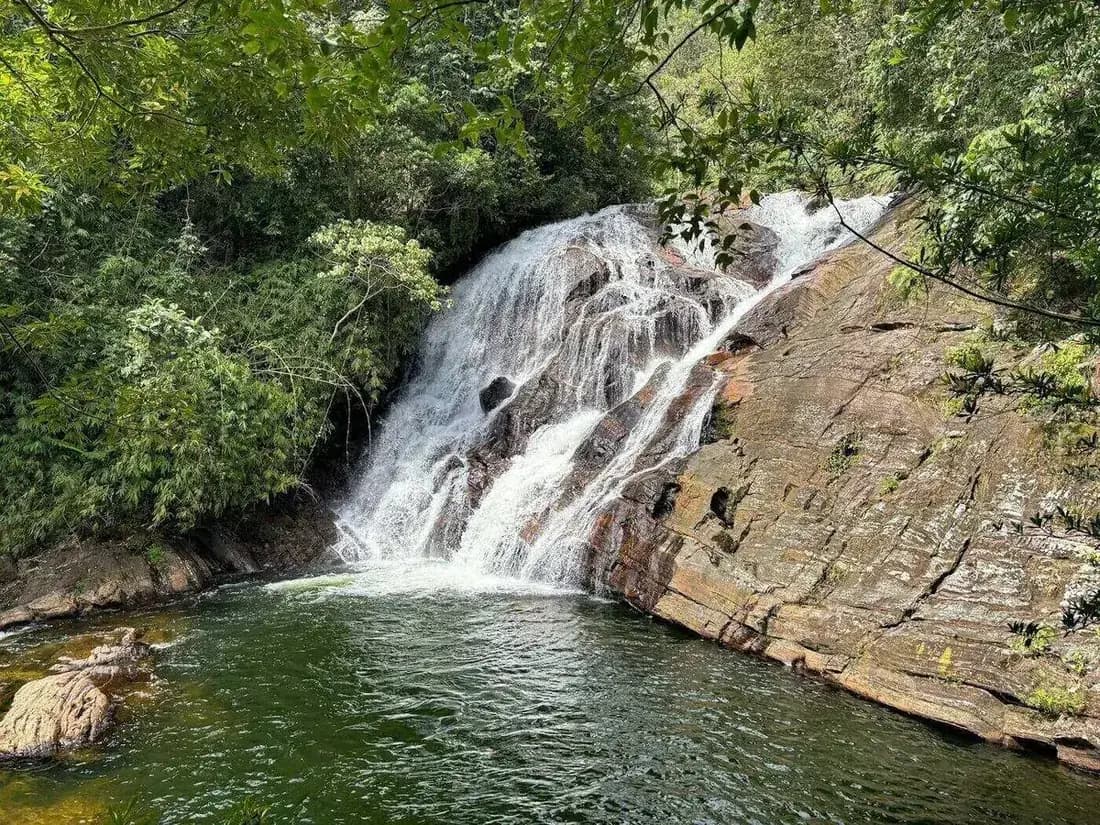 A tropical waterfall cascading into a clear jungle pool surrounded by dense rainforest - the kind of hidden gem found near Kandy in Sri Lanka's Knuckles Range