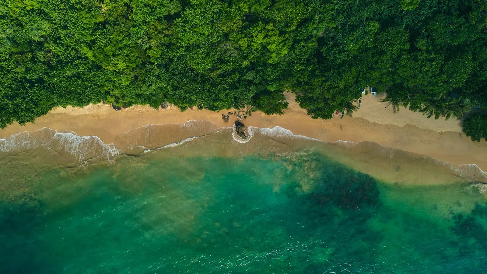 Turquoise water and white sand beach at Unawatuna, Sri Lanka, with palm trees and fishing boats along the southern coast