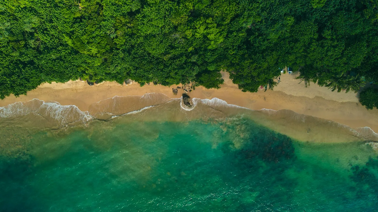 Turquoise water and white sand beach at Unawatuna, Sri Lanka, with palm trees and fishing boats along the southern coast
