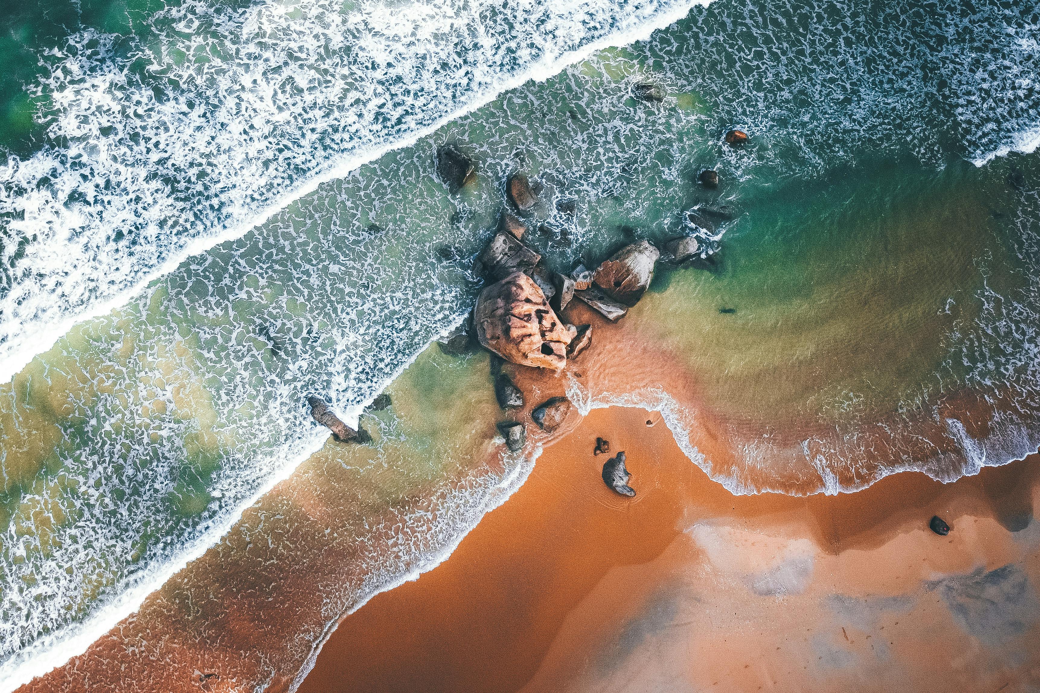 Aerial view of Sri Lanka's south coast beach with turquoise water and palm-lined golden sand