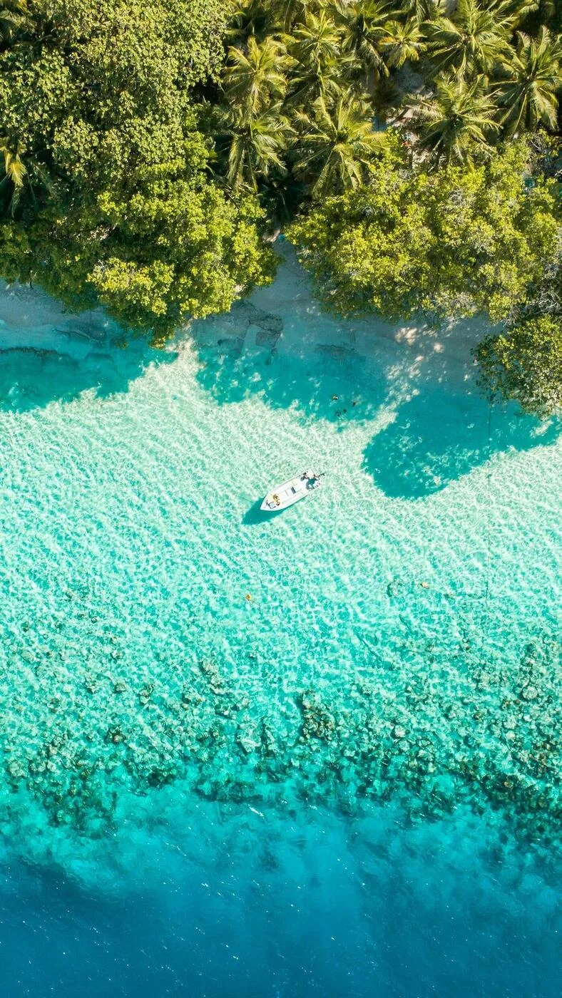 Aerial view of a tropical beach on Sri Lanka's south coast with turquoise water and coconut palms