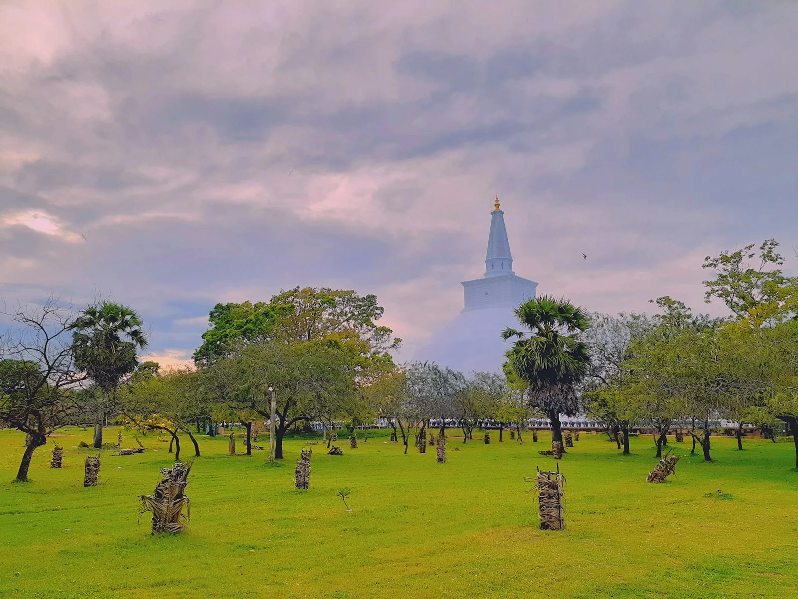 The Isurumuniya rock temple carved into a granite outcrop at Anuradhapura, Sri Lanka, with a pool of lotus flowers in the foreground