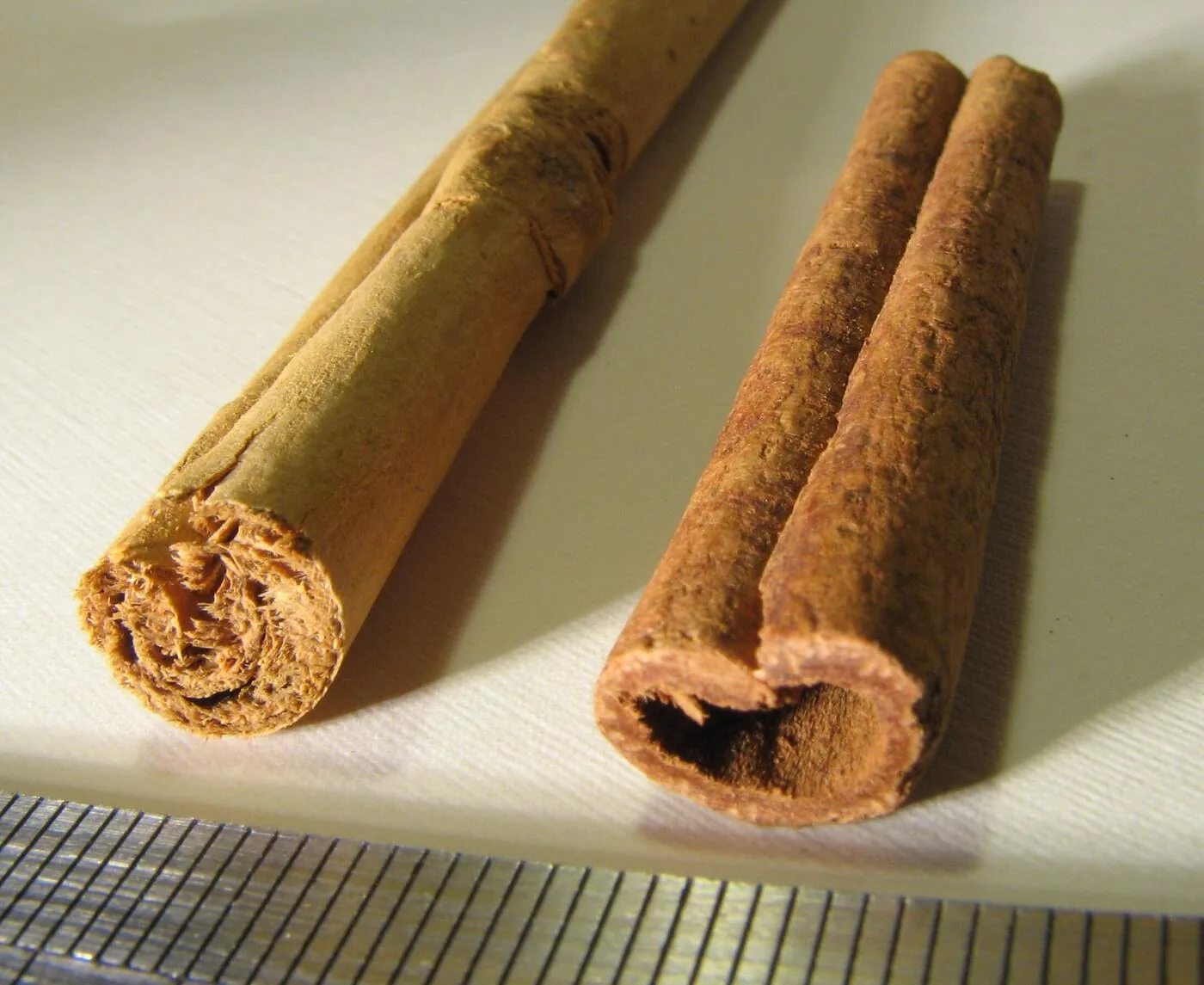 Side-by-side comparison of Ceylon cinnamon quills (light tan, multiple thin layers, crumbly) versus Indonesian cassia cinnamon (dark reddish-brown, single thick layer, hard)