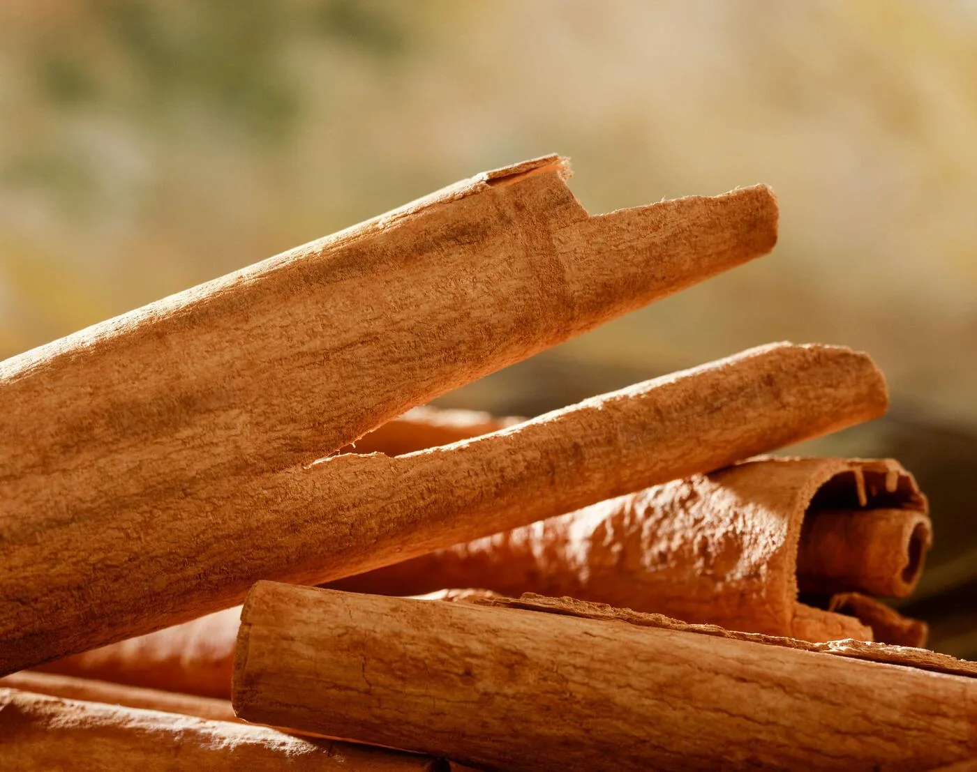 Raw Ceylon cinnamon quill sticks showing the characteristic multiple thin layers of pale inner bark tightly rolled together