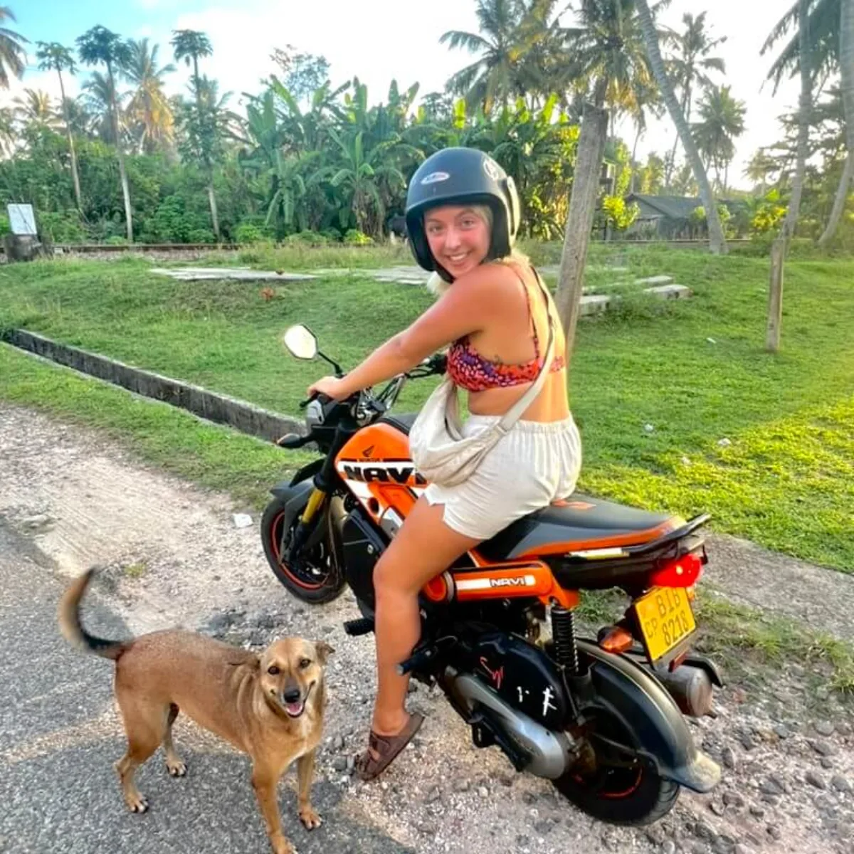 A traveller exploring Sri Lanka's south coast by motorbike through palm trees and tropical greenery
