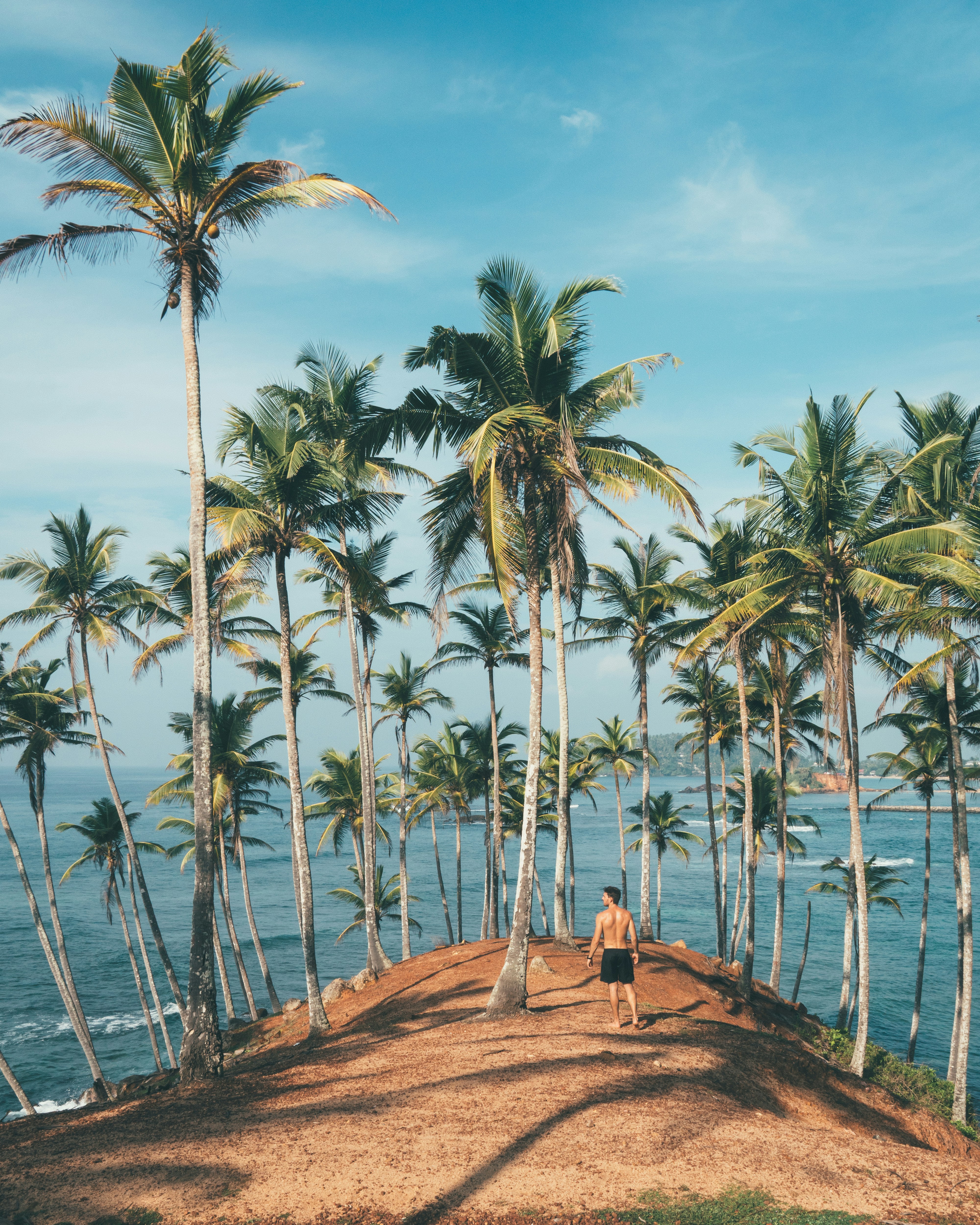 A traveller standing among tall coconut palm trees on a headland overlooking the Indian Ocean on Sri Lanka's south coast