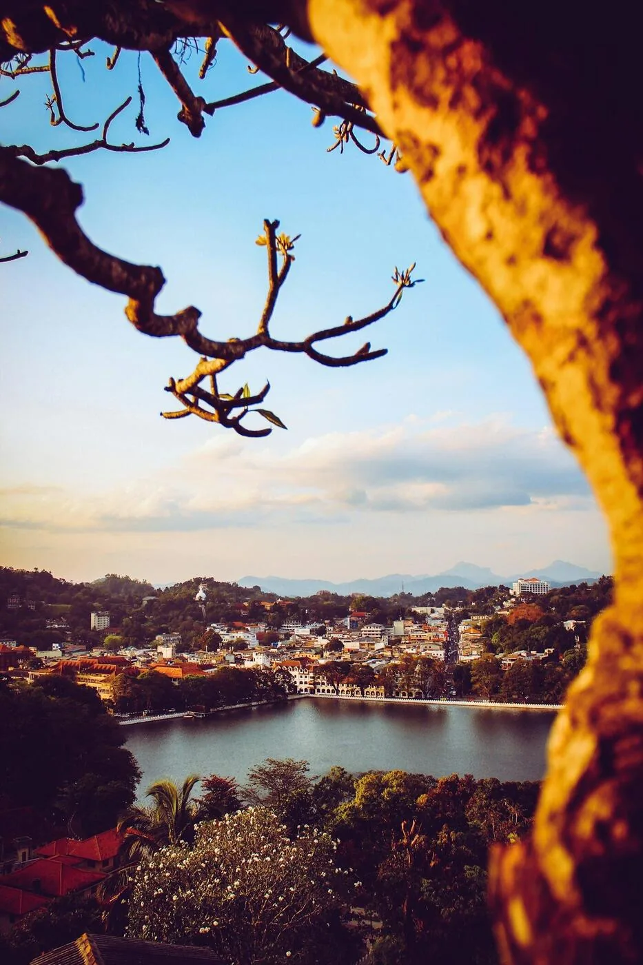 Kandy city and Kandy Lake glowing at golden hour, viewed from the hillside above the Temple of the Tooth