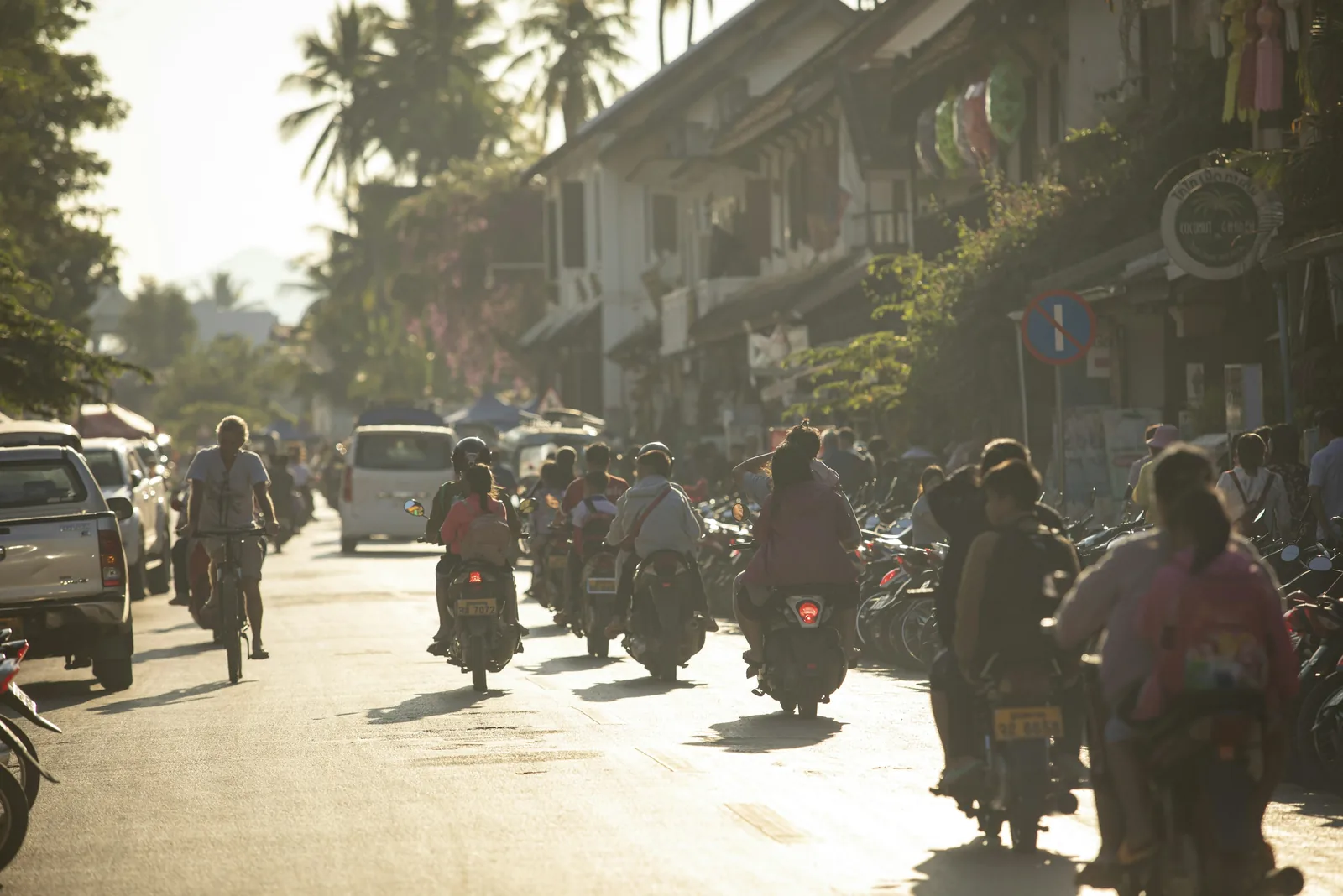 A scooter parked on a rural Sri Lankan road lined with tall palm trees and lush green vegetation