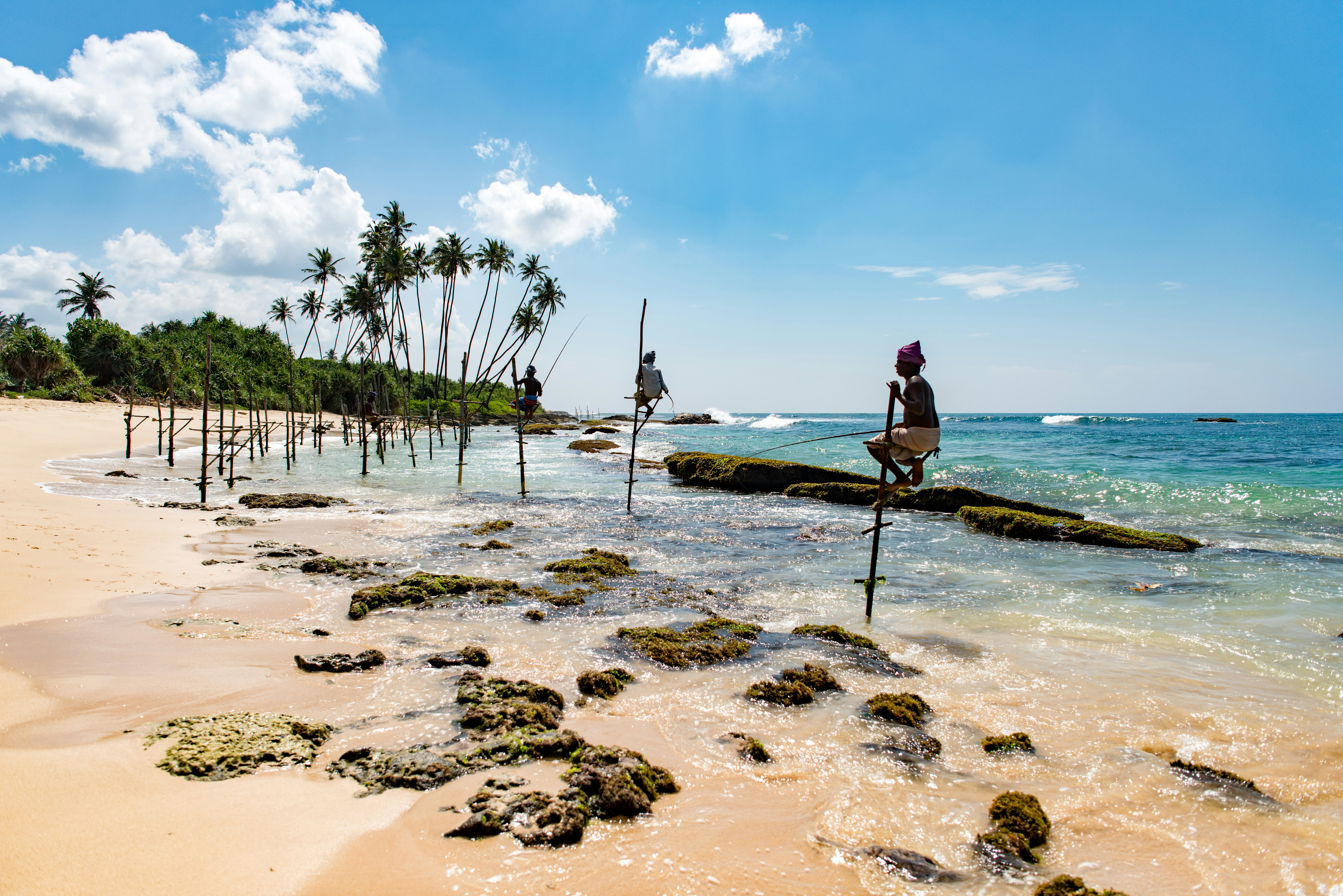 Traditional Sri Lankan stilt fishermen perched on poles above the ocean at sunset on the southern coast